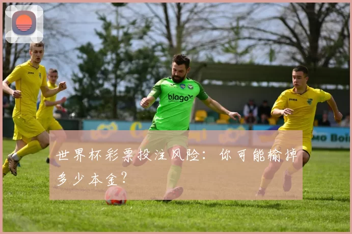 世界杯彩票投注风险:你可能输掉多少本金?