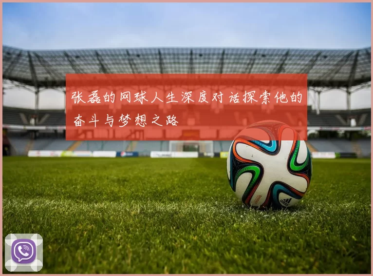 张磊的网球人生深度对话探索他的奋斗与梦想之路