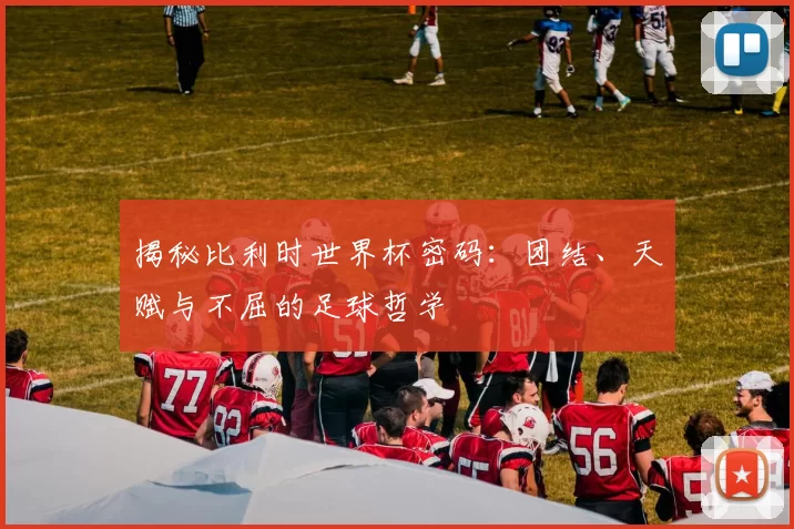 揭秘比利时世界杯密码：团结、天赋与不屈的足球哲学