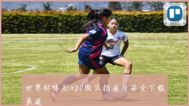 世界杯体彩app购买指南与安全下载渠道
