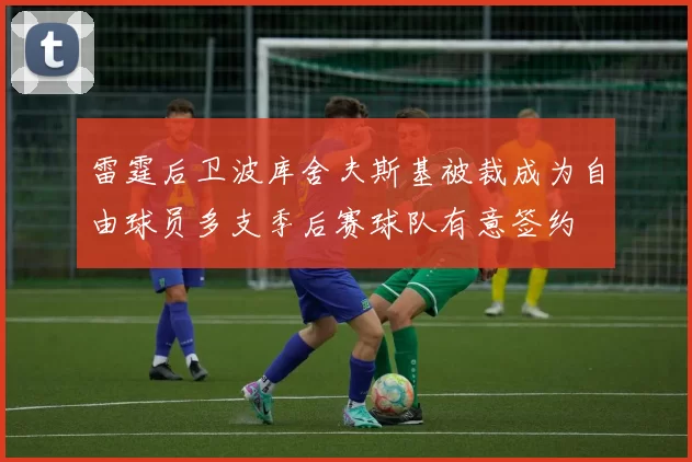 雷霆后卫波库舍夫斯基被裁成为自由球员多支季后赛球队有意签约
