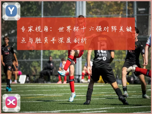专家视角:世界杯十六强对阵关键点与胜负手深度剖析