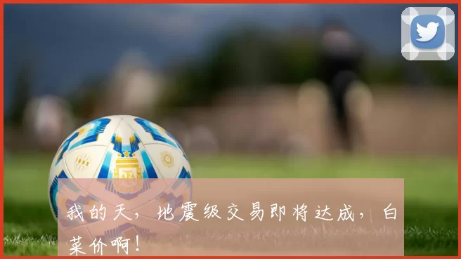 我的天,地震级交易即将达成,白菜价啊!