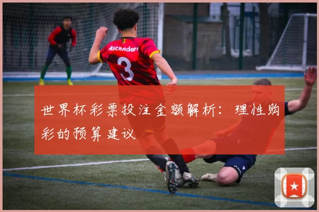 世界杯彩票投注金额解析:理性购彩的预算建议