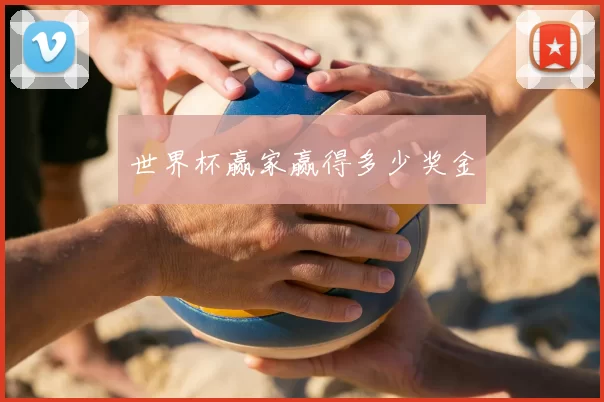 世界杯赢家赢得多少奖金