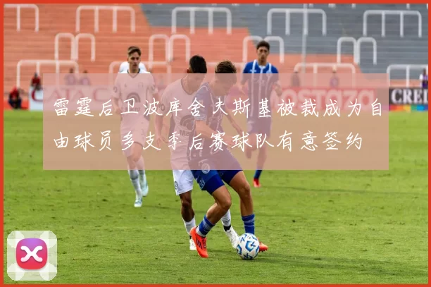 雷霆后卫波库舍夫斯基被裁成为自由球员多支季后赛球队有意签约